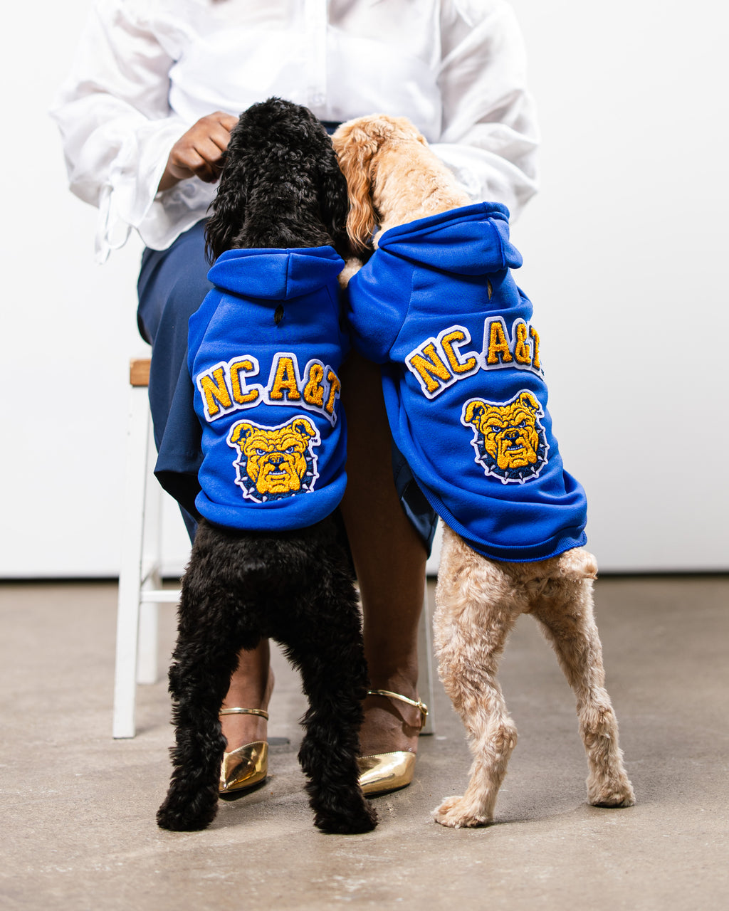 Pawsitively Blaze Collegiate - North Carolina A&T Pet Hoodie - Coming Soon
