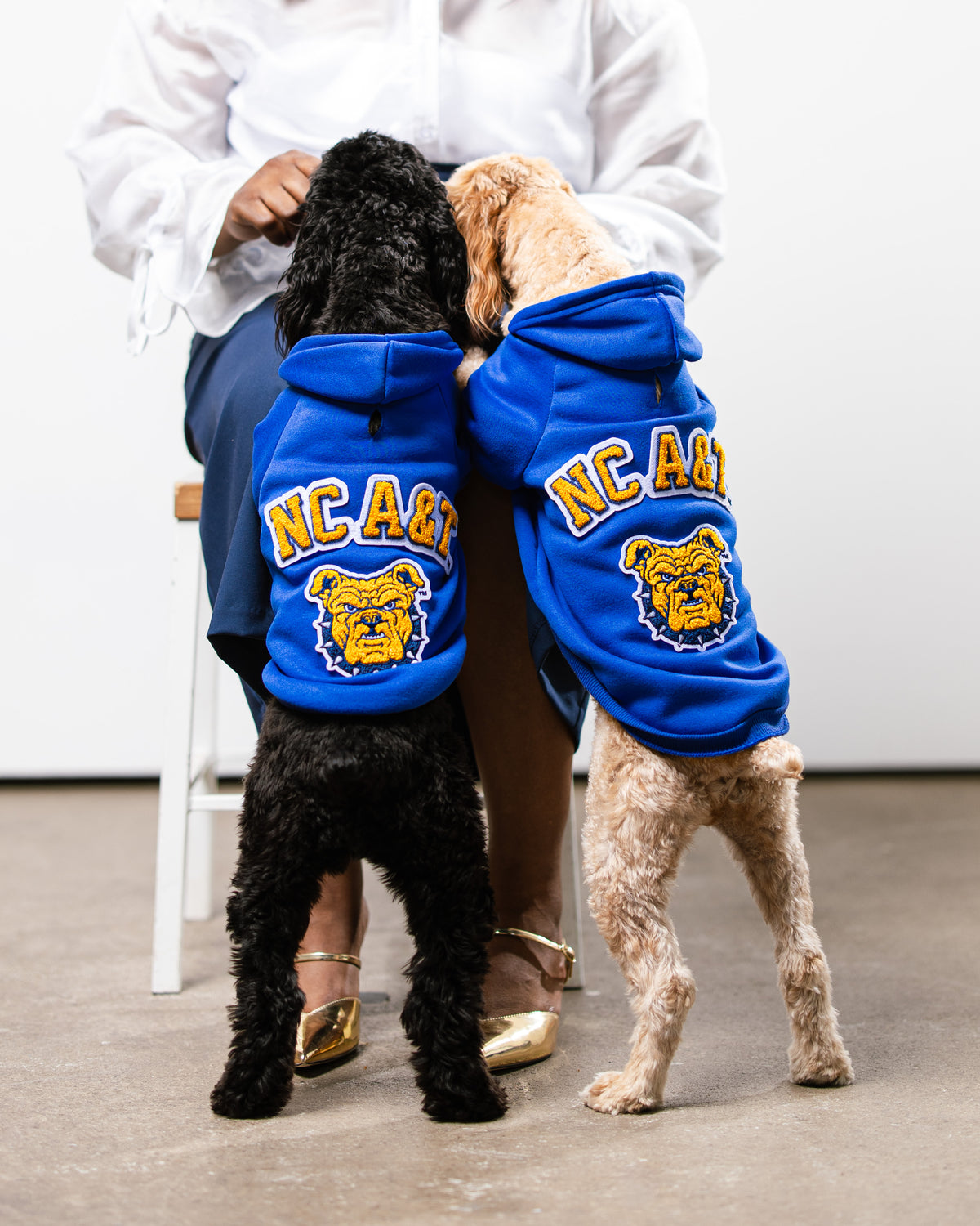 Pawsitively Blaze Collegiate - North Carolina A&T Pet Hoodie - Coming Soon